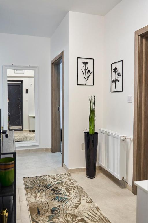 Smarald Apartament Iulius Mall Iasi photo 3