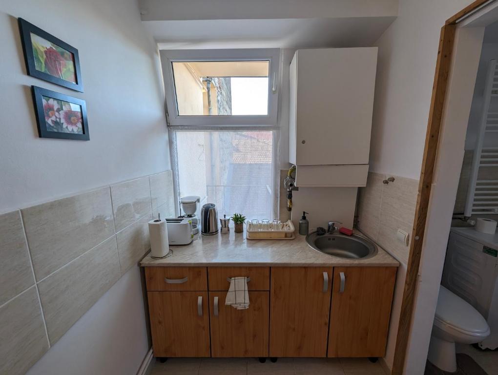 Sandor Apartment Calarasilor photo 3