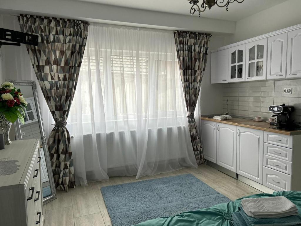 Studio G&A Hunedoara Apartment photo 2