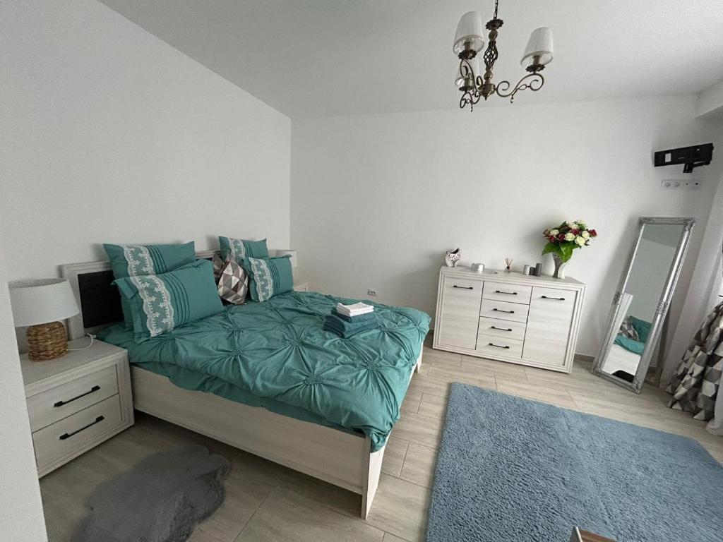 Studio G&A Hunedoara Apartment photo 3