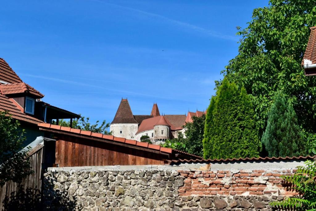Transilvania rent — photo 1