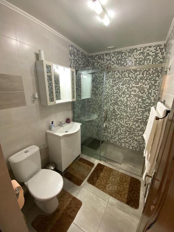 Transilvania rent photo 3