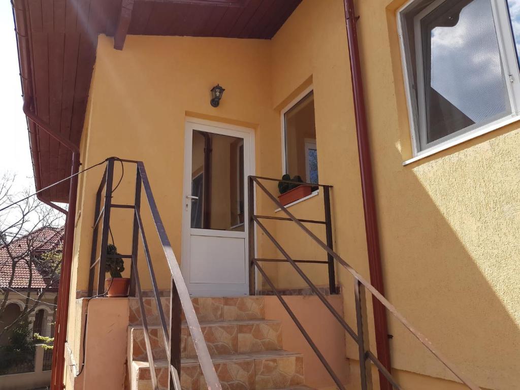 Sasha's Place photo 2