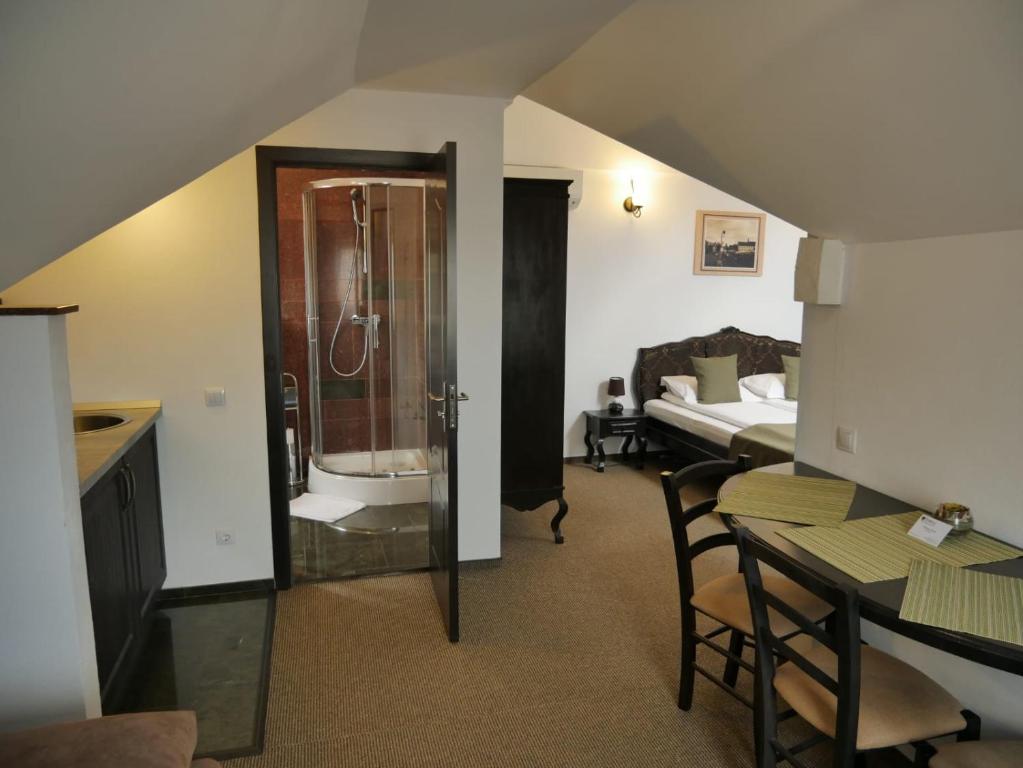 Sibiu City Center Apartments photo 3