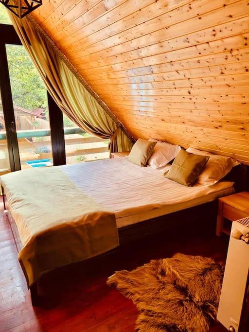 River House Transylvania photo 2