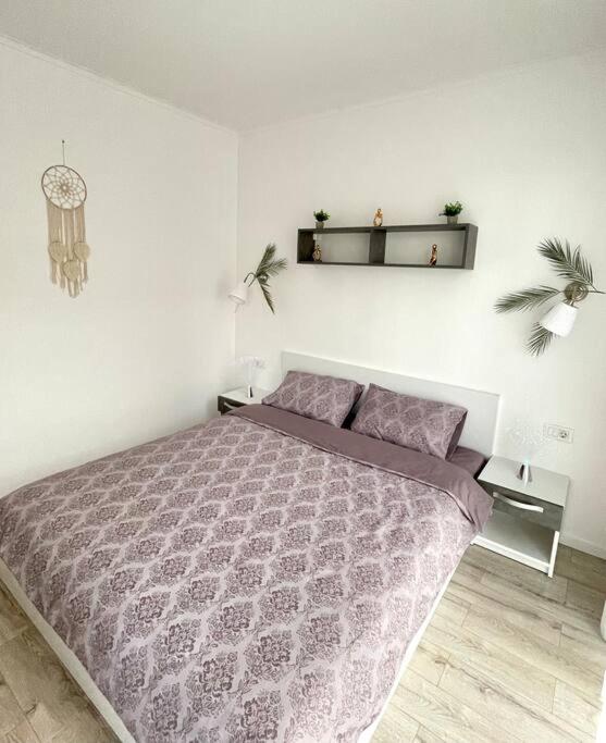 Sunlit Shelter * Ideal Location! Free Parking photo 2