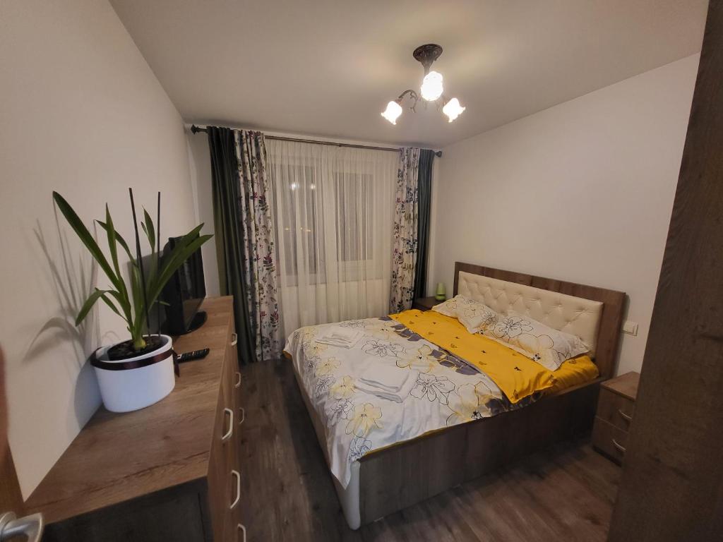 Subcetate Residence photo 2