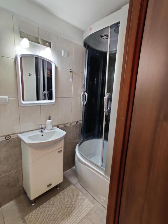Satu Mare Apartments photo 3