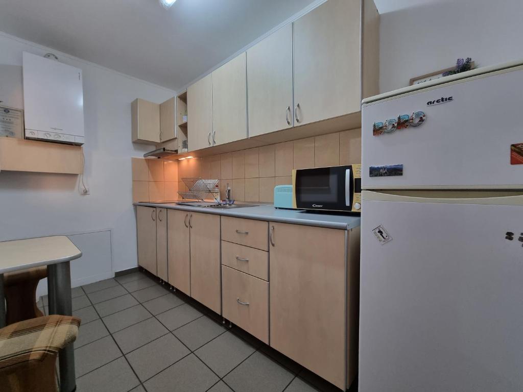 RORO Residence - 2 apartamente într-o vilă central photo 3
