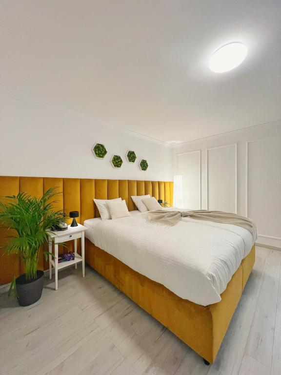 Central Luxurious Studio photo 2