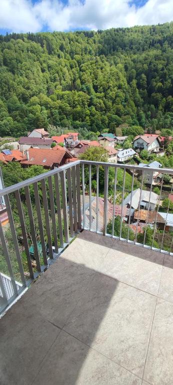 STUDIO JACUZZI BELLE VIEW SINAIA-free parking photo 2
