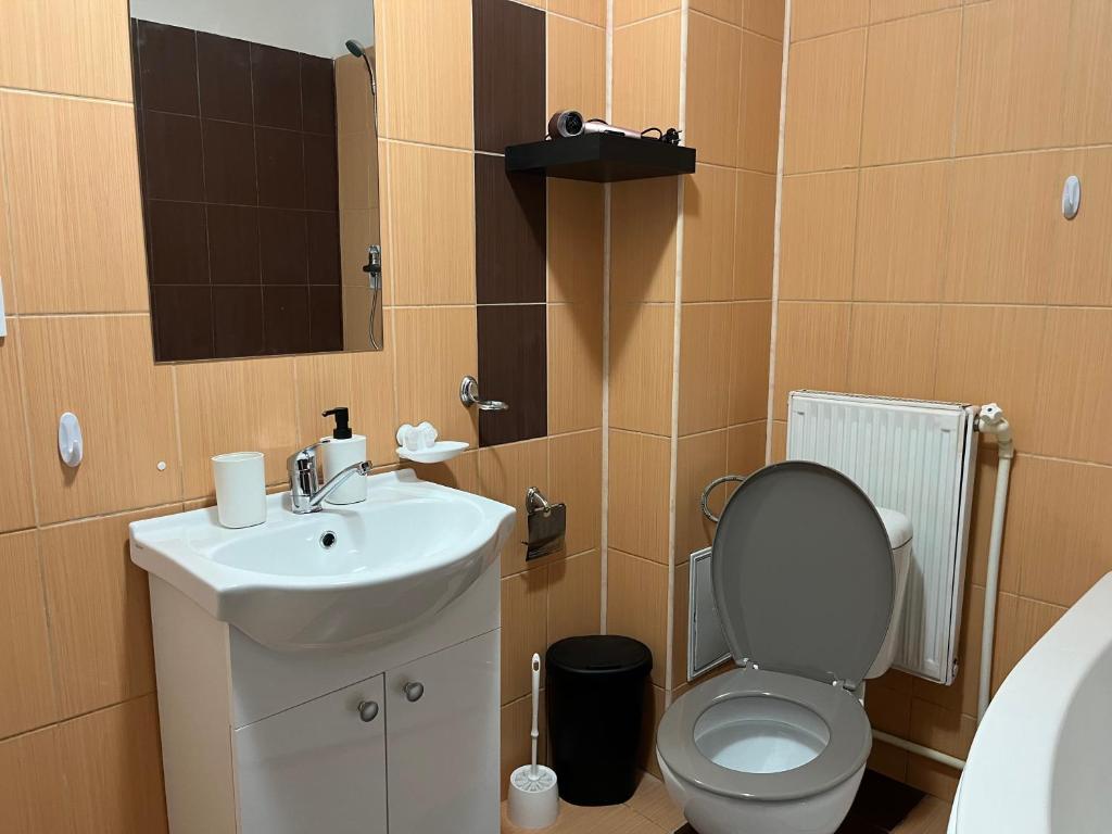 Steve Rooms photo 3