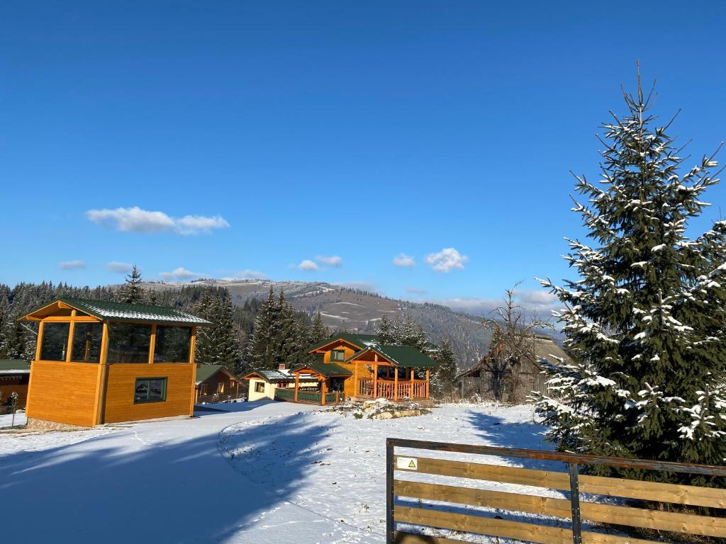 Monac Panoramic SPA photo 3