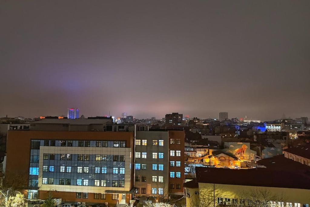 SkyView Victoriei photo 2