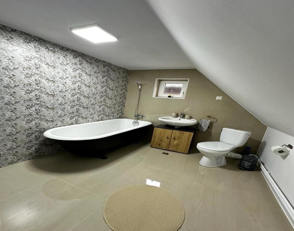Wood House Valiug photo 3