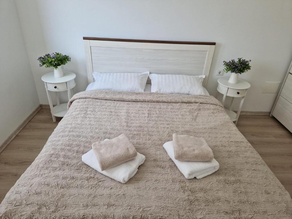 San Casa Apartment — photo 1
