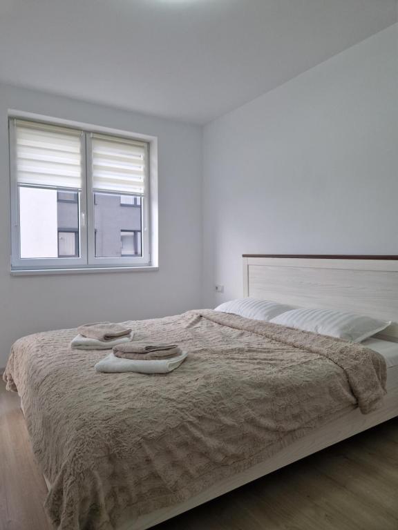 San Casa Apartment photo 2