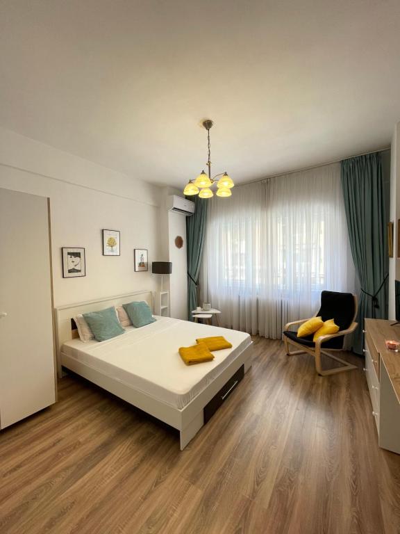 Super Central and Homey Studio Bucharest photo 2