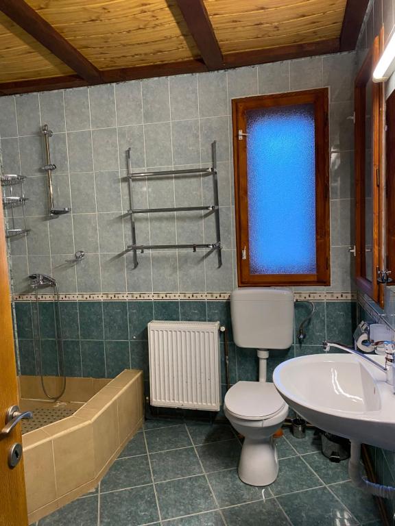 The LakeHouse Tauț photo 3