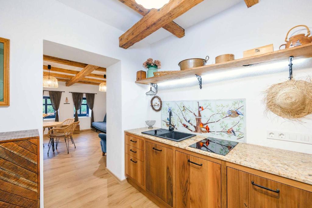 Transylvania Village House photo 3