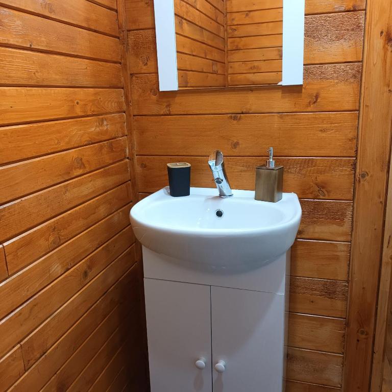 Tiny House Ocnele Mari photo 3