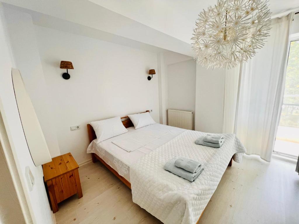 The Airport Loft photo 2