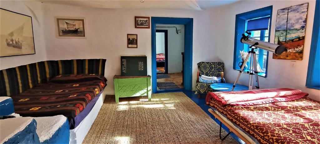 Traditional House in Danube Delta photo 2
