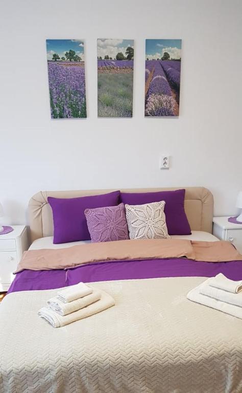 Rózsa apartman photo 2