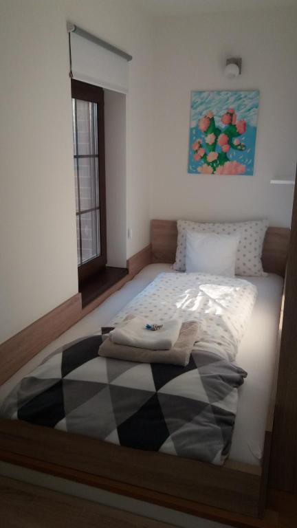 Single Suite Apartment photo 2
