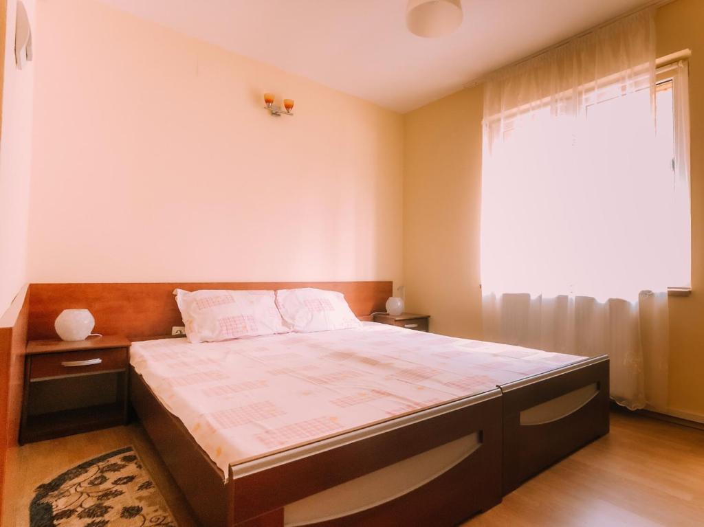 Spacious Apartment near Peles photo 2