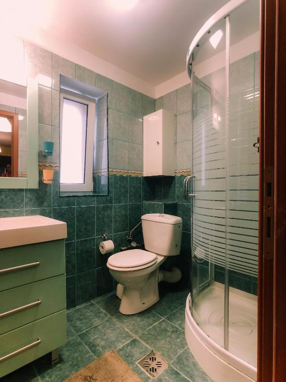 Spacious Apartment near Peles photo 3