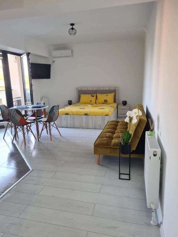 Studio Ayan Mamaia photo 2