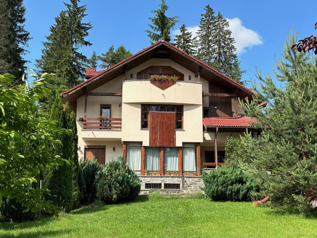 Transylvanian Villa — photo 1