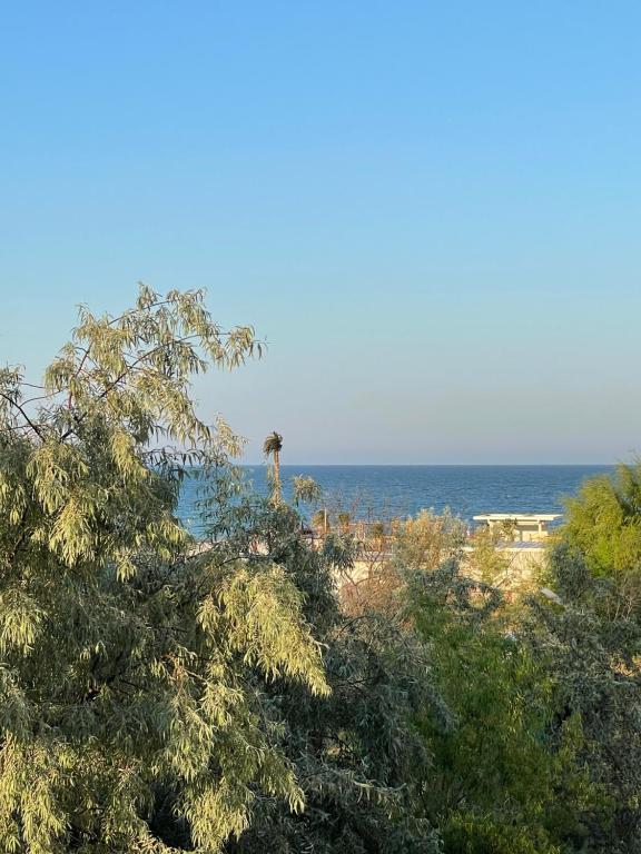 Selena by the sea photo 3