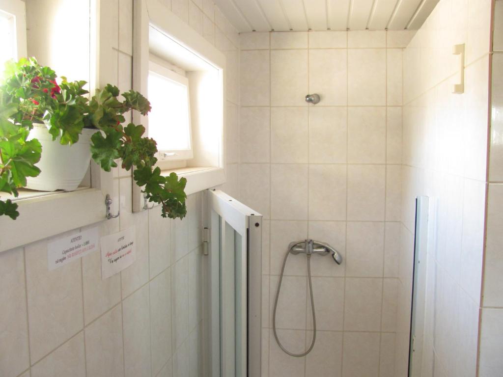 Hostel White Inn photo 3