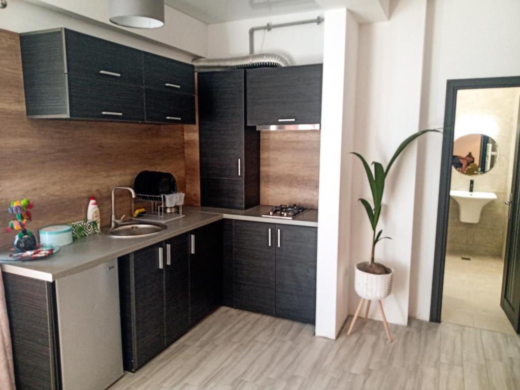 RIC Apartament photo 3
