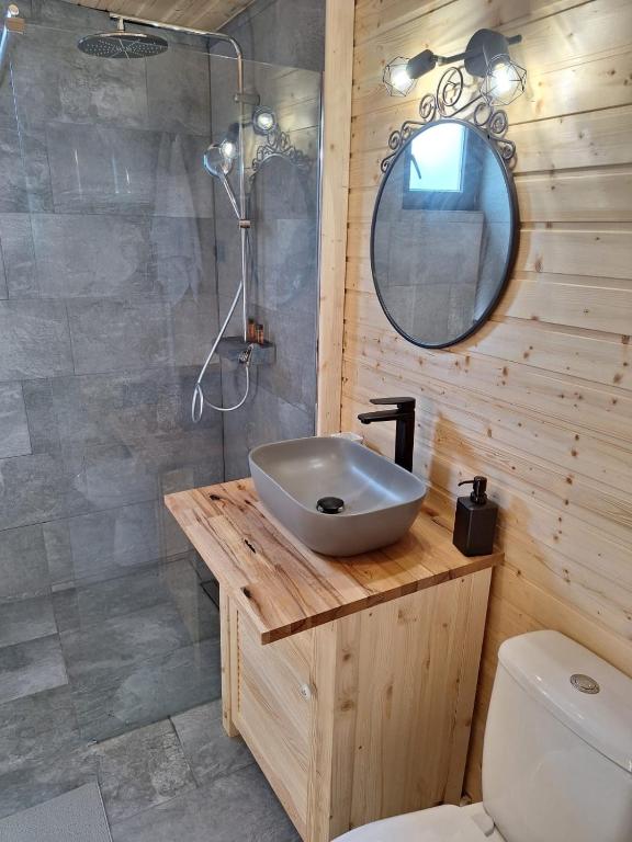 Bran Nori Albi Vila si Cabana photo 2