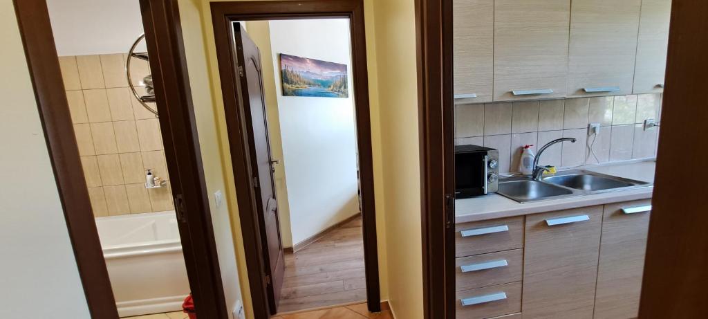 Sinaia AlpineView Residence photo 3