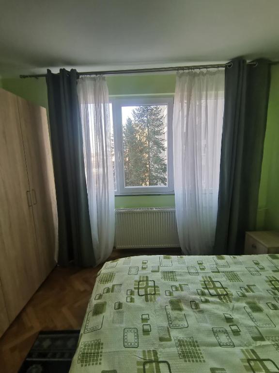 Modern Room With A Great Sunrise - close to the center - photo 2