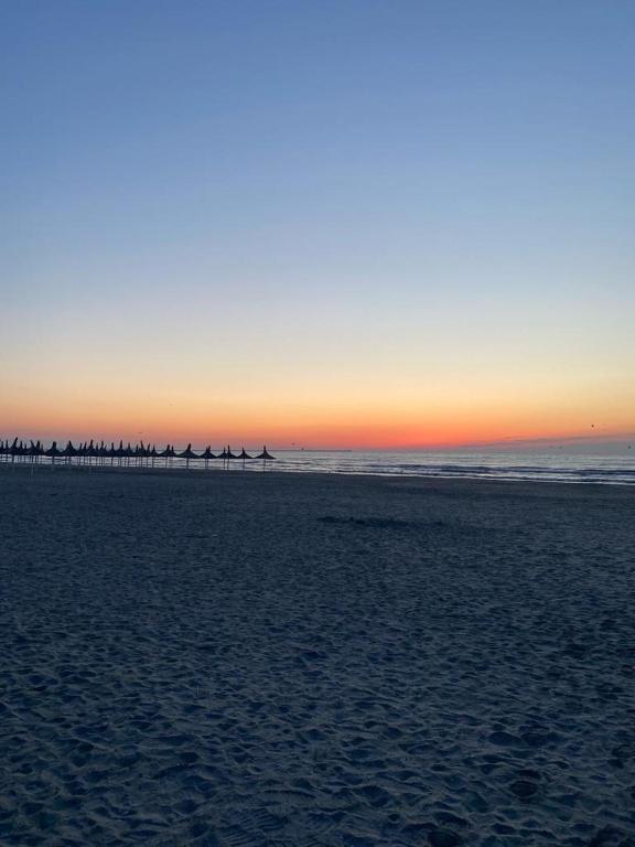 SeaView Oasis — photo 1