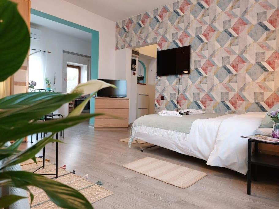 Sweet Dreams Suites Panoramic Studio Zodiac Dorobanti photo 2