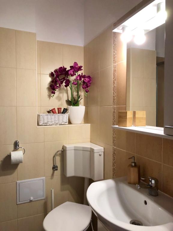 Teo's Flat photo 3