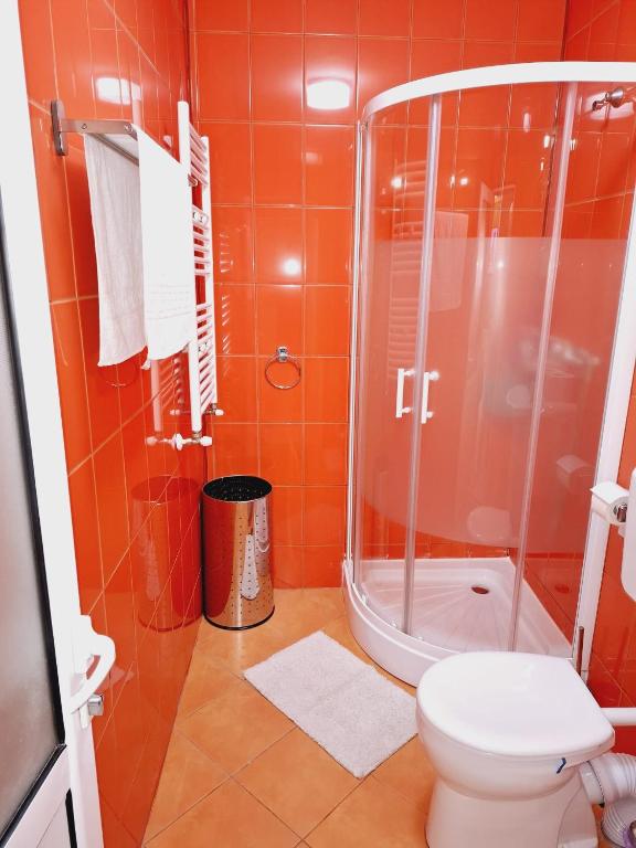 RA Studio Băile Olănești photo 3