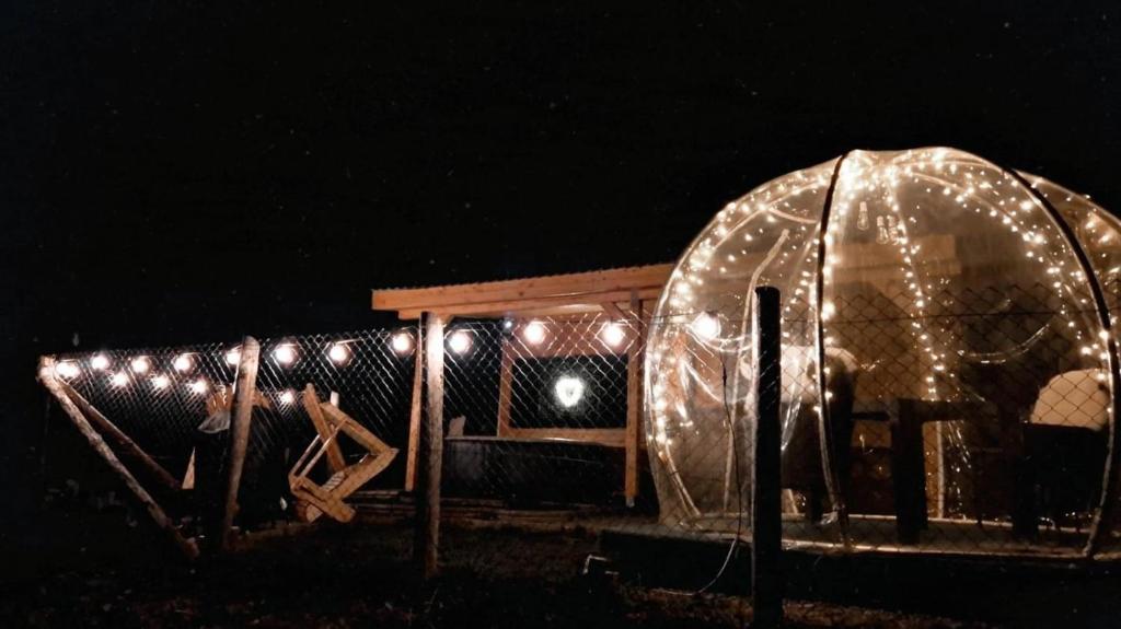 Tiny House Colibita photo 2