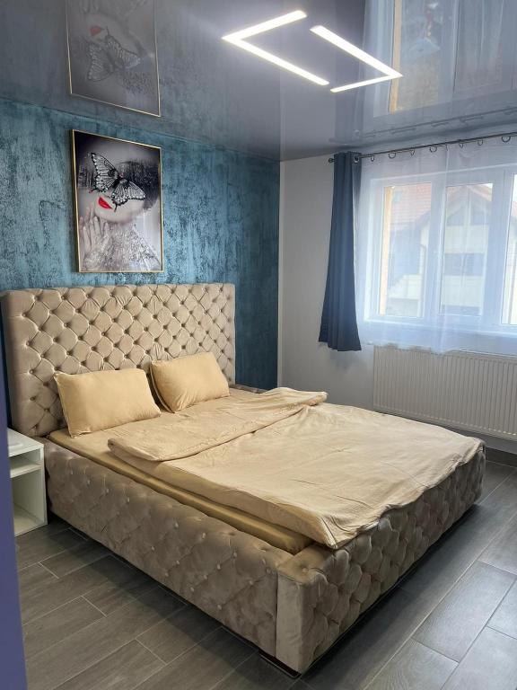 Sipotul Apelor photo 2