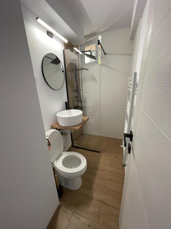 Studio TAD HOUSE Hunedoara photo 3