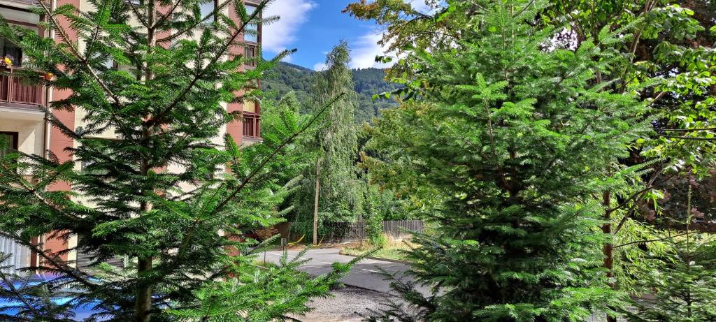 Sinaia Relax Residence — photo 1