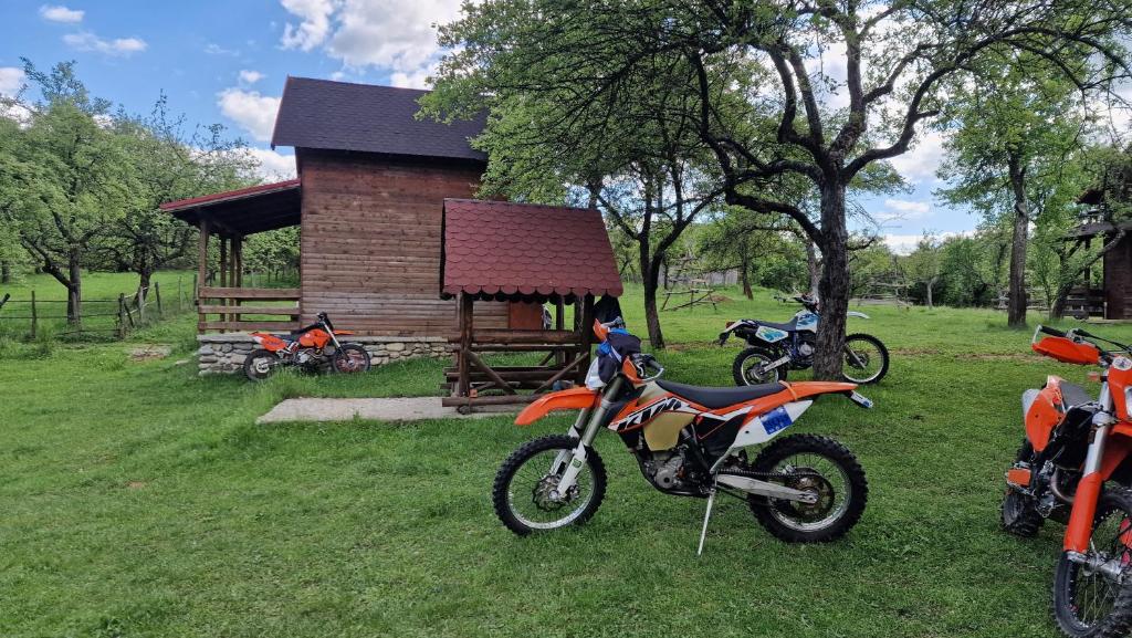 Sătucul de Vacanță Brăduleț photo 3