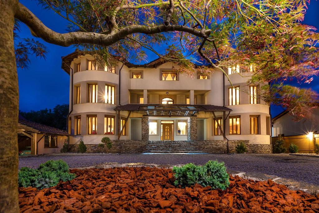 Transilvania Mansion — photo 1