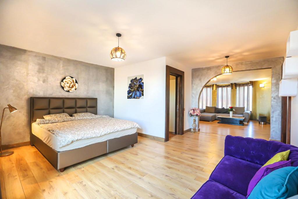 Transilvania Mansion photo 2